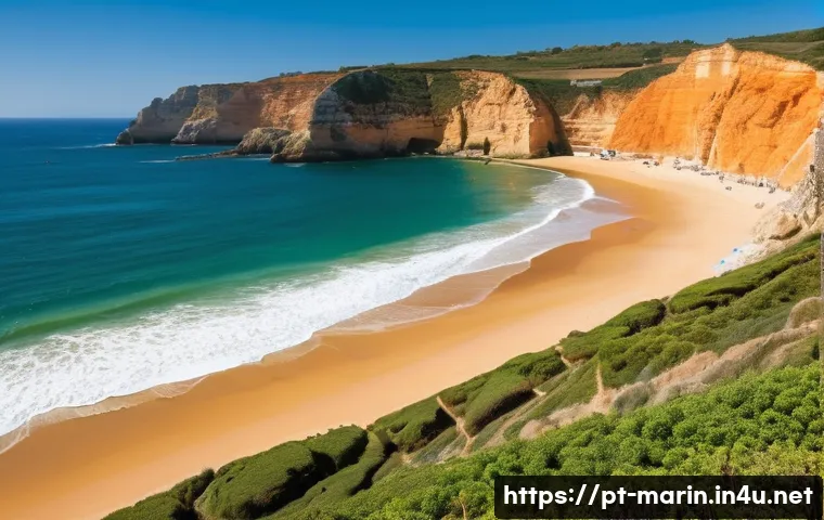 해양학 기후 변화 영향 분석 - **Prompt:** A picturesque sandy beach along the Portuguese coast, possibly reminiscent of the Algarv...