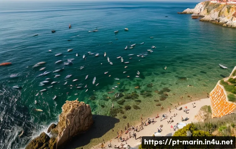 해양학 기후 변화 영향 분석 관련 이미지 2
