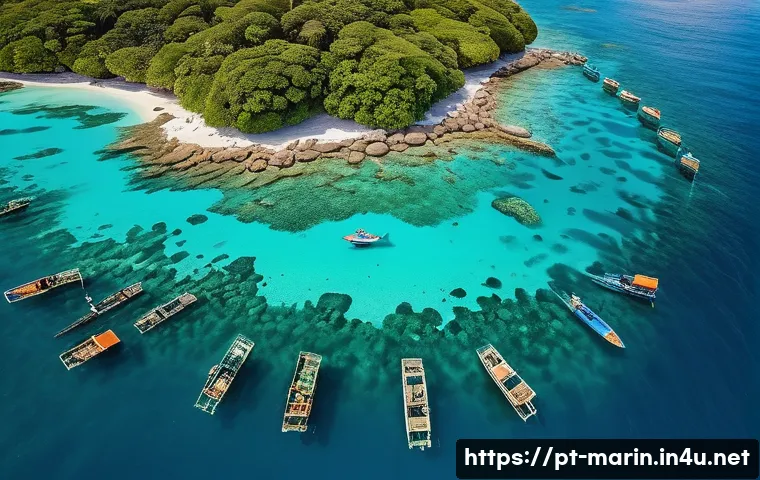 해양 수산자원 관리 - A vibrant aerial view of a Brazilian coastal marine conservation project featuring drones equipped w...