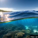 Home 23 해양학 기후 변화 관측 - A detailed scientific illustration of the ocean’s role in global climate regulation: a vast, realist...