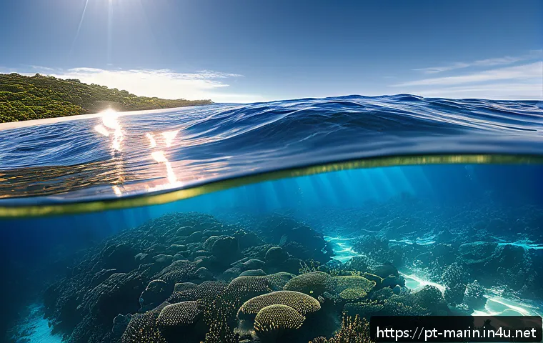 해양학 기후 변화 관측 - A detailed scientific illustration of the ocean&rsquo;s role in global climate regulation: a vast, realist...