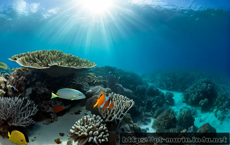 해양 생태학 - Photorealistic underwater marine ecology scene along the Brazilian Atlantic coast, a healthy coral r...